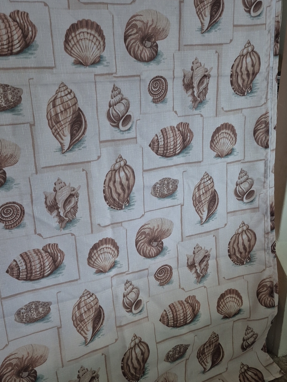 Seashell Pattern Fabric Shower Curtain Cream and Brown